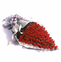 100 red rose just because 