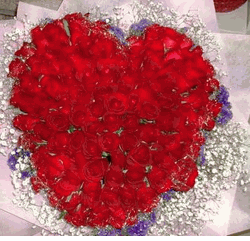 100 Red Roses 