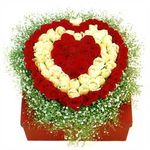 100 rose gift boxed