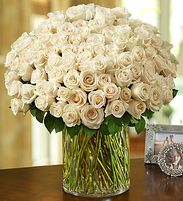 100 Stem White Roses in a Vase