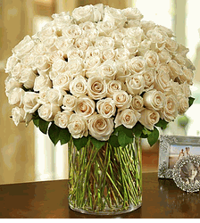 100 Stem White Roses in a Vase