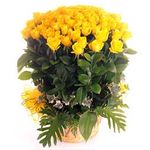 100 Stem Yellow Rose Basket