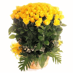 100 Stem Yellow Rose Basket