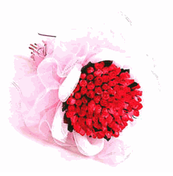 100 Stems red rose