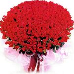 1000 red rose unforgettable