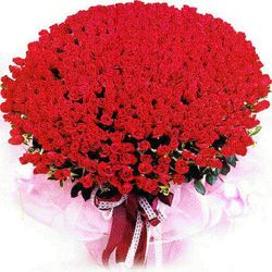 1000 red rose unforgettable