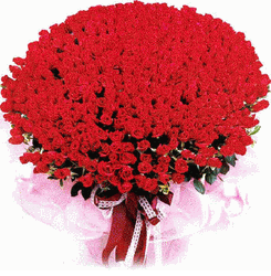 1000 red rose unforgettable