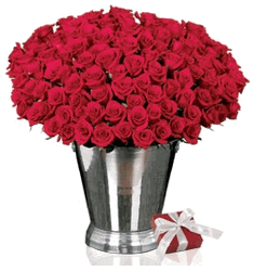 101 Red rose