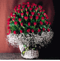 101 red rose basket
