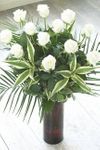12 luxury long stemmed Roses