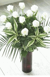 12 luxury long stemmed Roses