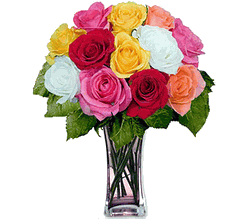 12 Mixed Long Stem Roses