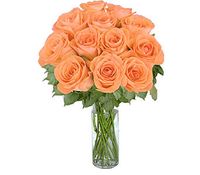 12 orange Long Stem Roses 