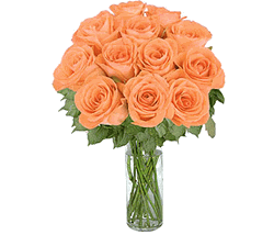 12 orange Long Stem Roses 