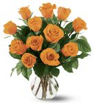 12 Orange Roses 