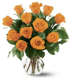 12 Orange Roses 