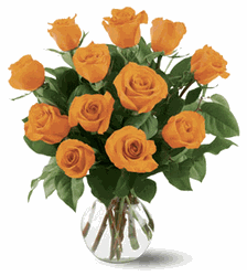 12 Orange Roses 