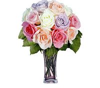 12 Pastel Long Stem Roses 