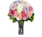 12 Pastel Long Stem Roses 