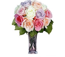 12 Pastel Long Stem Roses 