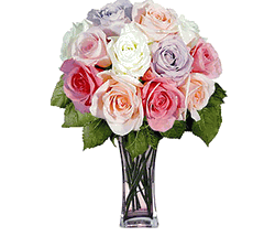 12 Pastel Long Stem Roses 