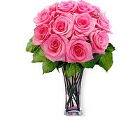 12 Pink Long Stem Roses 