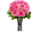 12 Pink Long Stem Roses 
