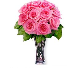 12 Pink Long Stem Roses 