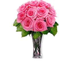 12 Pink Long Stem Roses 