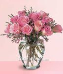 12 pink rose