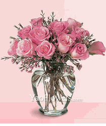 12 pink rose