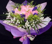 12 Pink Roses