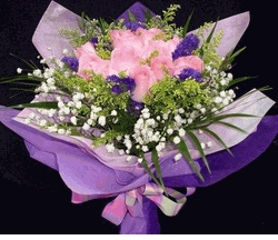 12 Pink Roses