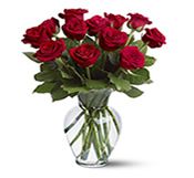 12 Red Roses 