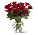 12 Red Roses 