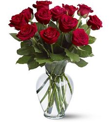 12 Red Roses