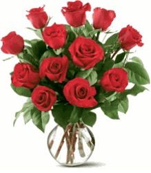 12 Red Roses