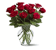 12 Red Roses 