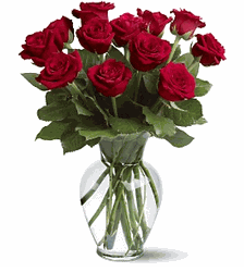 12 Red Roses