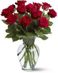 12 Red Roses Thinking of you