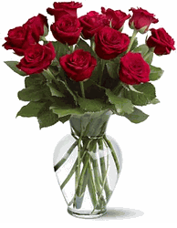 12 Red Roses Thinking of you