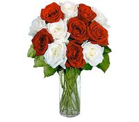 12 Red & White Long Stem Roses 