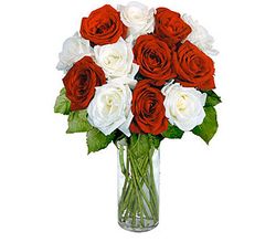 12 Red & White Long Stem Roses 