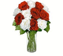 12 Red & White Long Stem Roses 
