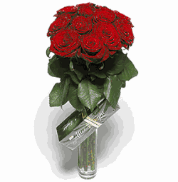 12 Roses & Chocolates