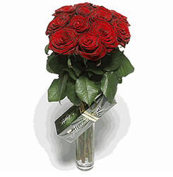 12 Roses & Chocolates