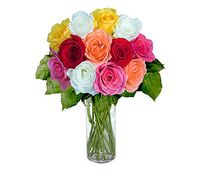 12 Short Stem Mixed Roses 