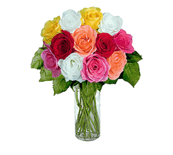 12 Short Stem Mixed Roses 