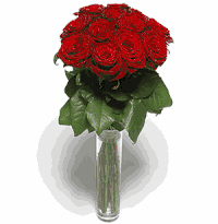 12 Stunning Red Roses