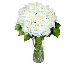 12 White Long Stem Roses 